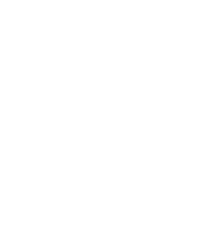 D.plus