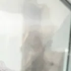 遮熱
